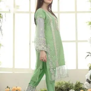 3 Pcs Women's Stitched Embroidered Suit